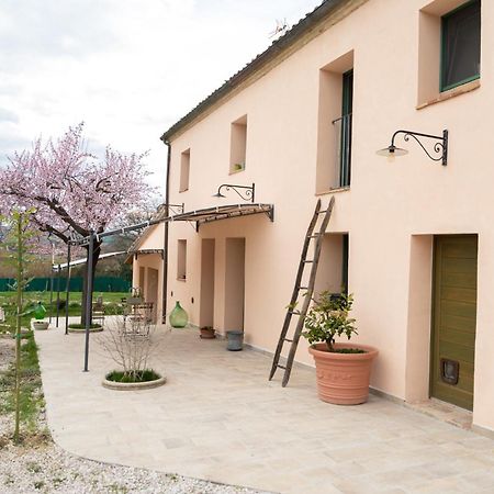 B&B Le Rondini Ostra Senigallia Casine  ภายนอก รูปภาพ