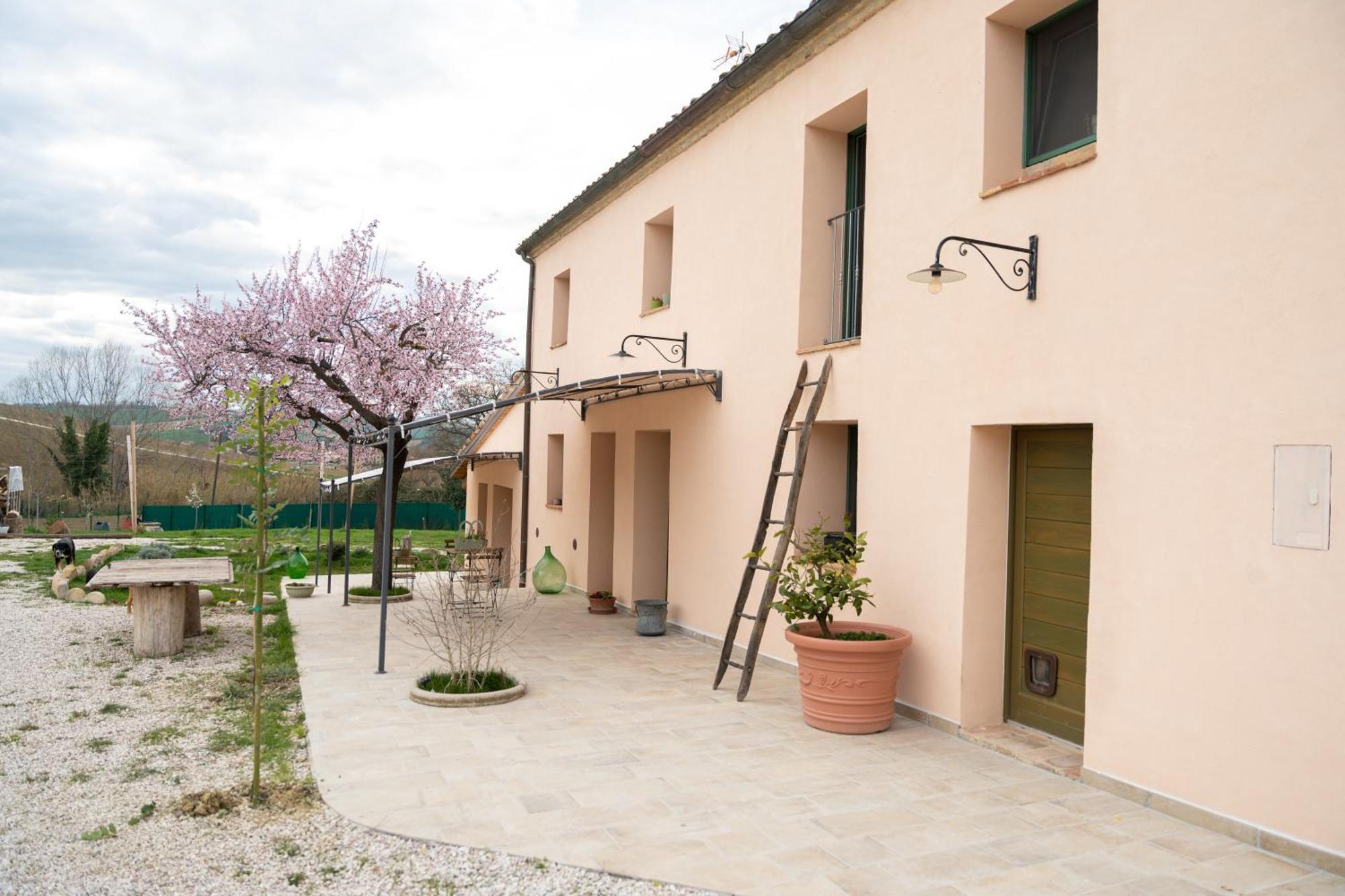 B&B Le Rondini Ostra Senigallia Casine  ภายนอก รูปภาพ